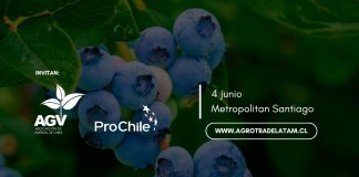 Agrotrade Chile 2026: Donde el nuevo margen de la fruticultura se construye