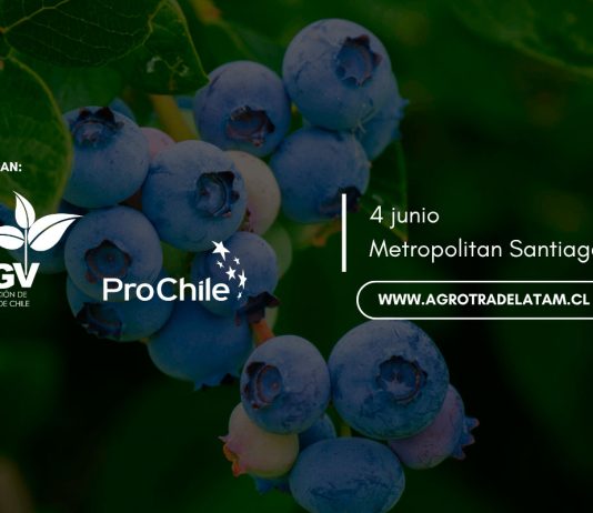 Agrotrade Chile 2026: Donde el nuevo margen de la fruticultura se construye