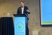Antonio Lante, gerente de Baika Chile y Perú «Chile debe aprovechar apagones de la oferta global y posicionar nuevos mercados para la palta»