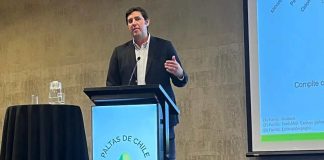 Antonio Lante, gerente de Baika Chile y Perú «Chile debe aprovechar apagones de la oferta global y posicionar nuevos mercados para la palta»