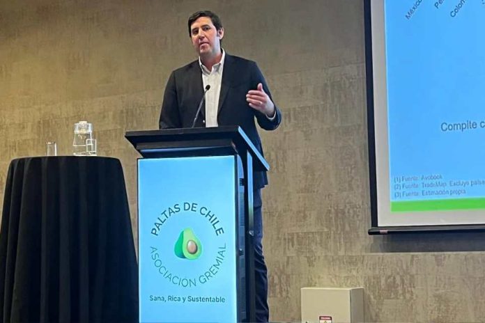 Antonio Lante, gerente de Baika Chile y Perú «Chile debe aprovechar apagones de la oferta global y posicionar nuevos mercados para la palta»