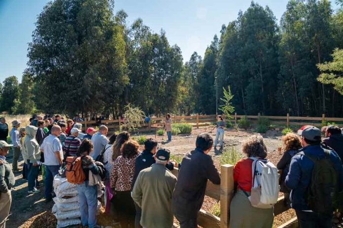 Apicultura regenerativa gana espacio como alternativa productiva en un contexto donde las abejas sostienen el 75% de los cultivos