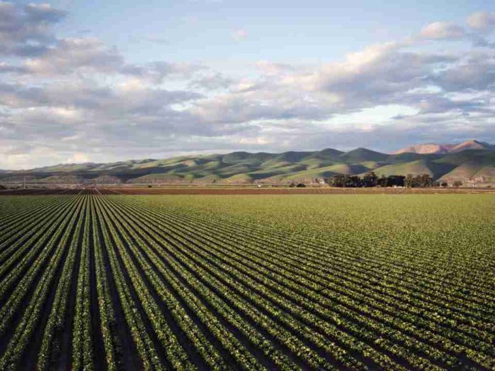 Argentina Biocontroladores en Argentina entre potencial y uso real Argentina | Biocontroladores en Argentina entre potencial y uso real