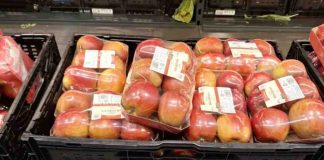 Argentina | Derrumbe histórico: el precio de la manzana toca mínimos en Europa