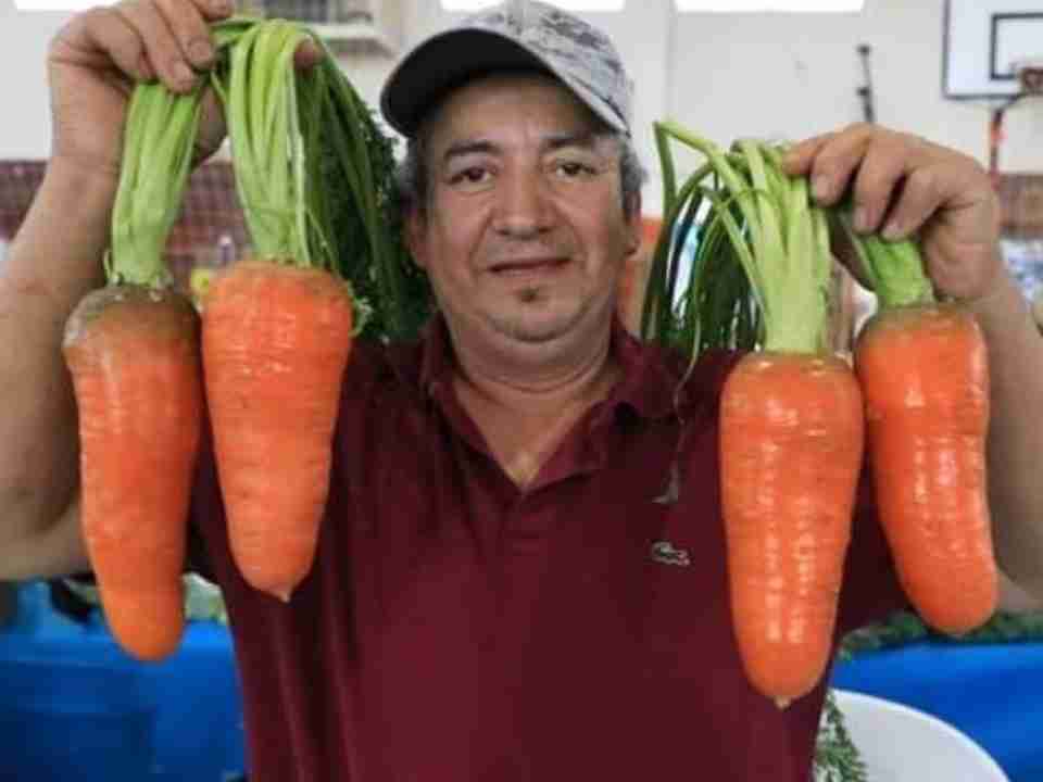 Argentina |Las increíbles hazañas productivas de “Pancho” Barría en medio de la estepa de Tierra del Fuego: En su huerta logra cultivar de todo, y dice que es gracias a la “naturalización” de las semillas