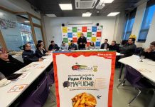 Articulan trabajo público-privado para que Nacimiento se posicione como la cuna de la Papa Frita Mapuche