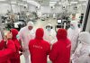 Autoridades del Trabajo visitaron Cecinas Llanquihue y reforzaron el diálogo con el sector productivo