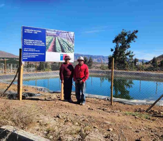 CNR invita a pequeños agricultores y comunidades agrícolas e indígenas de Atacama y Coquimbo a postular a concurso por $2.200 millones CNR invita a pequeños agricultores y comunidades agrícolas e indígenas de Atacama y Coquimbo a postular a concurso por $2.200 millones