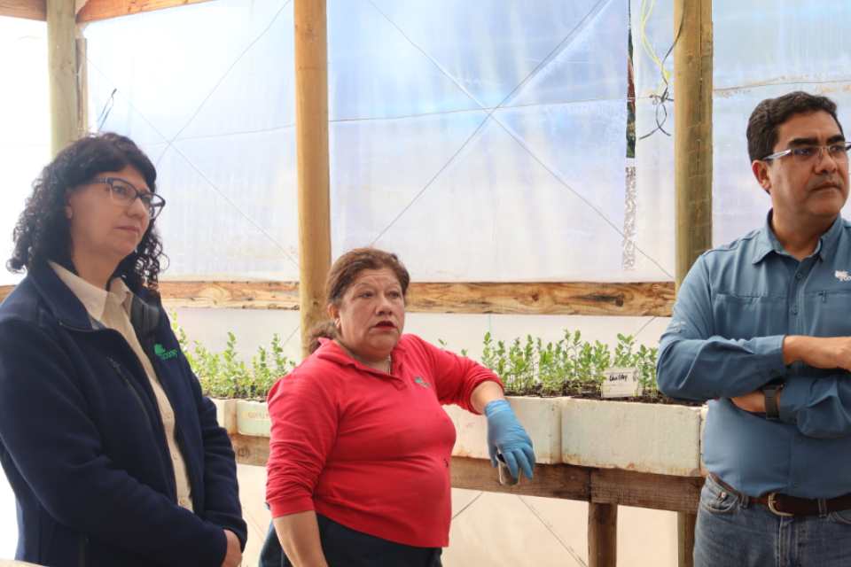 CONAF y Municipios fortalecen trabajo colaborativo en viveros de Palmilla y Lolol