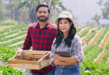 Chilealimentos y AFIPA capacitan a productores del Maule y Ñuble en buen manejo de plaguicidas Chilealimentos y AFIPA capacitan a productores del Maule y Ñuble en buen manejo de plaguicidas
