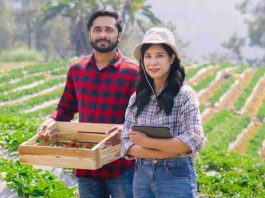Chilealimentos y AFIPA capacitan a productores del Maule y Ñuble en buen manejo de plaguicidas Chilealimentos y AFIPA capacitan a productores del Maule y Ñuble en buen manejo de plaguicidas