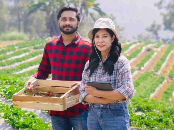 Chilealimentos y AFIPA capacitan a productores del Maule y Ñuble en buen manejo de plaguicidas Chilealimentos y AFIPA capacitan a productores del Maule y Ñuble en buen manejo de plaguicidas