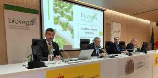 China toma la delantera en semillas editadas y Europa acelera su trabajo