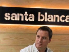 Columna de opinión | Recuperar la forestación: una decisión estratégica para Chile