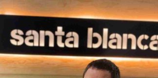 Columna de opinión | Recuperar la forestación: una decisión estratégica para Chile