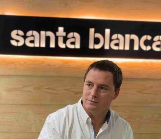 Columna de opinión | Recuperar la forestación: una decisión estratégica para Chile