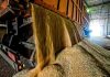 Comisión de Agricultura analizó junto a COTRISA su rol público