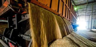 Comisión de Agricultura analizó junto a COTRISA su rol público