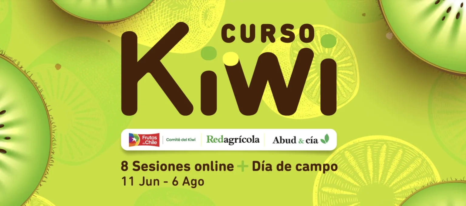 Comité del Kiwi lanza curso online de actualización de producción de kiwi para afrontar los nuevos desafíos para el establecimiento y producción de huertos de kiwi Comité del Kiwi lanza curso online de actualización de producción de kiwi para afrontar los nuevos desafíos para el establecimiento y producción de huertos de kiwi (1)