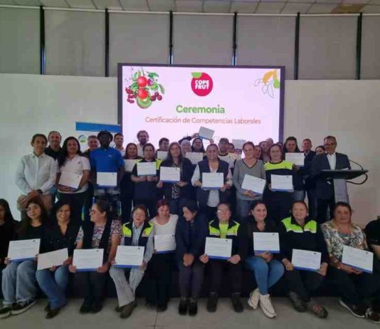 Copefrut reafirma su compromiso con el desarrollo de sus trabajadores: Certifica competencias laborales de 70 colaboradores con apoyo de Chilealimentos y Otic Agrocap