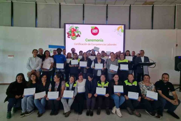 Copefrut reafirma su compromiso con el desarrollo de sus trabajadores: Certifica competencias laborales de 70 colaboradores con apoyo de Chilealimentos y Otic Agrocap Copefrut reafirma su compromiso con el desarrollo de sus trabajadores: Certifica competencias laborales de 70 colaboradores con apoyo de Chilealimentos y Otic Agrocap