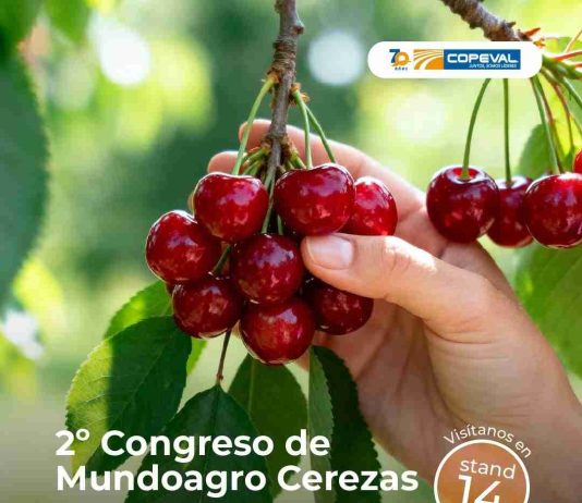Copeval estará presente en el Segundo Congreso Mundoagro Especial Cerezas 2026