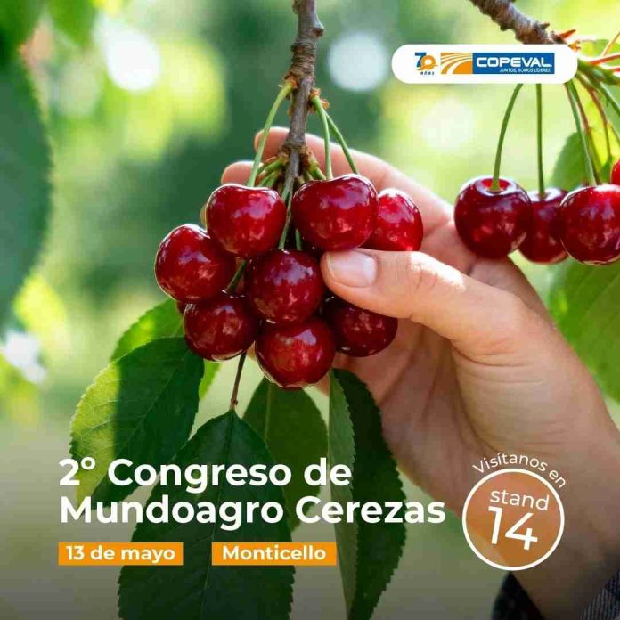 Copeval estará presente en el Segundo Congreso Mundoagro Especial Cerezas 2026