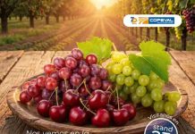 Copeval participará en la décima edición de la Conferencia Redagrícola 2026 con foco en cerezo y uva de mesa