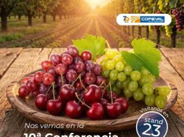Copeval participará en la décima edición de la Conferencia Redagrícola 2026 con foco en cerezo y uva de mesa
