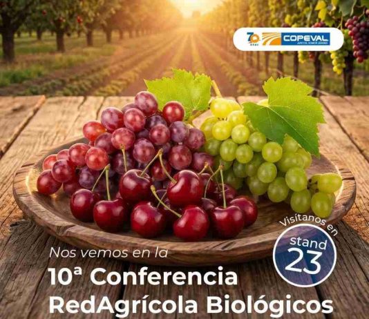 Copeval participará en la décima edición de la Conferencia Redagrícola 2026 con foco en cerezo y uva de mesa
