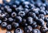 Corfo abre programa de formación gratuito para fortalecer la fruticultura de Ñuble, Biobío y La Araucanía
