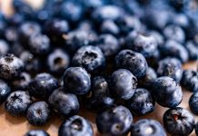 Corfo abre programa de formación gratuito para fortalecer la fruticultura de Ñuble, Biobío y La Araucanía