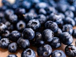 Corfo abre programa de formación gratuito para fortalecer la fruticultura de Ñuble, Biobío y La Araucanía