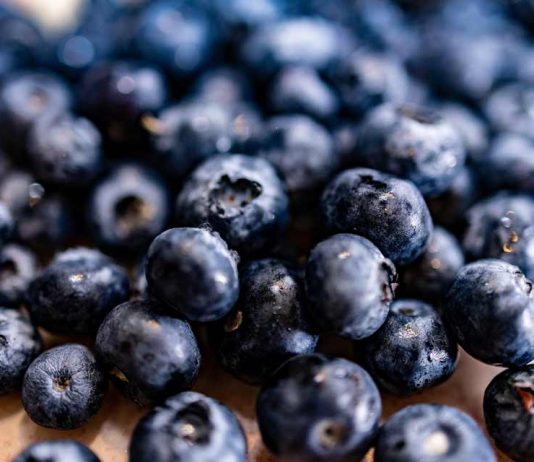 Corfo abre programa de formación gratuito para fortalecer la fruticultura de Ñuble, Biobío y La Araucanía