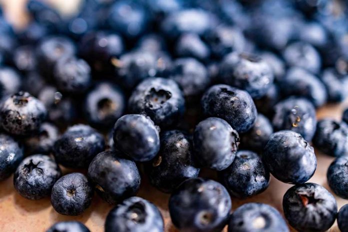 Corfo abre programa de formación gratuito para fortalecer la fruticultura de Ñuble, Biobío y La Araucanía