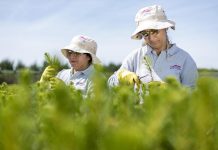 Corma espera que nueva Ley de Fomento Forestal se concrete para recuperar empleo y apoyar a pymes Corma espera que nueva Ley de Fomento Forestal se concrete para recuperar empleo y apoyar a pymes