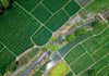 Crisis de fertilizantes y brote de gripe aviar marcan un complejo escenario para la agricultura chilena en 2026