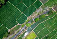 Crisis de fertilizantes y brote de gripe aviar marcan un complejo escenario para la agricultura chilena en 2026