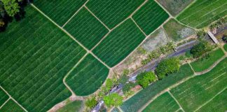 Crisis de fertilizantes y brote de gripe aviar marcan un complejo escenario para la agricultura chilena en 2026