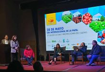 Día Internacional de la Papa 2026