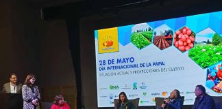 Día Internacional de la Papa 2026