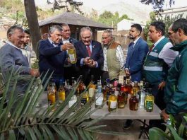 Día Nacional del Pisco: ministro de Agricultura destaca aporte cultural y económico de la industria pisquera