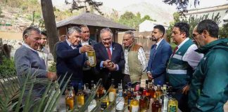 Día Nacional del Pisco: ministro de Agricultura destaca aporte cultural y económico de la industria pisquera