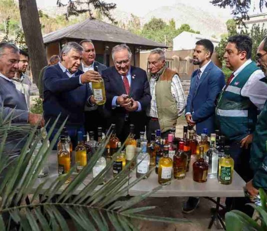 Día Nacional del Pisco: ministro de Agricultura destaca aporte cultural y económico de la industria pisquera