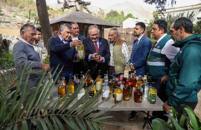 Día Nacional del Pisco: ministro de Agricultura destaca aporte cultural y económico de la industria pisquera
