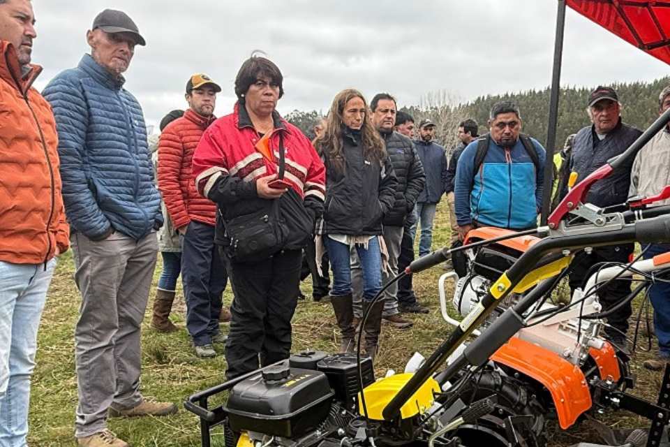Día de campo acercó nuevas tecnologías de riego y maquinaria a los agricultores de la comuna de Saavedra