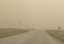 EE.UU | Las condiciones secas y polvorientas pueden aumentar el riesgo de neumonía en el ganado.