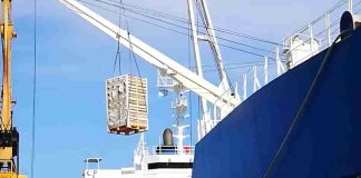 Efecto Irán: Exportadores de fruta tuvieron que pagar 9,1% más caro los fletes al puerto