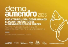 El mayor productor europeo de almendro en seto acoge Demoalmendro 2026 el próximo 2 de junio