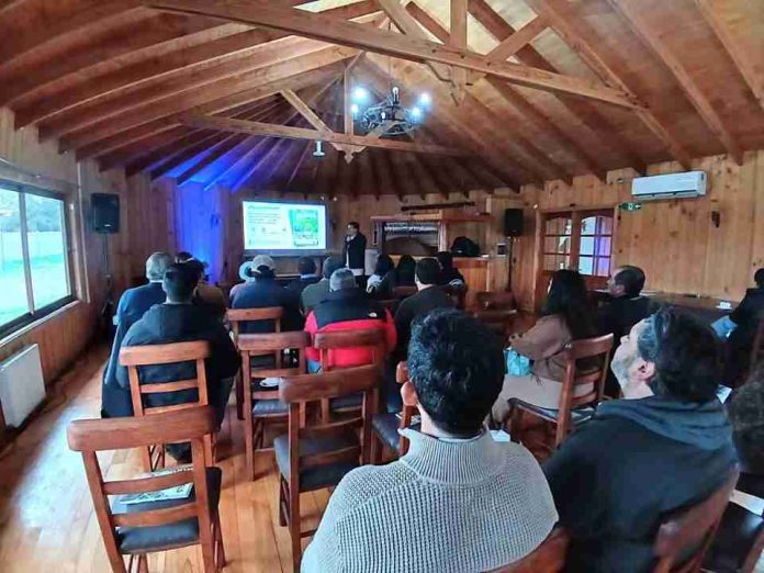 En jornada técnica del Comité de Arándanos Productores de Los Ríos abordan la producción del arándano a través de prácticas de fruticultura regenerativa En jornada técnica del Comité de Arándanos: Productores de Los Ríos abordan la producción del arándano a través de prácticas de fruticultura regenerativa